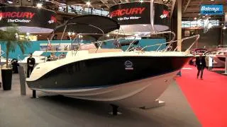 Quicksilver Activ 675 Sundeck