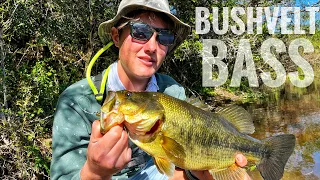 This Pond Was Loaded With Large Bushvelt Bass! (Bass Fishing South Africa)