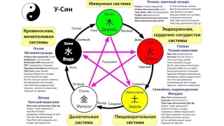 №2. Знакомство с Рейши и Женьшенем Coffeecell. Учения У-син. Михайлова И.Л.