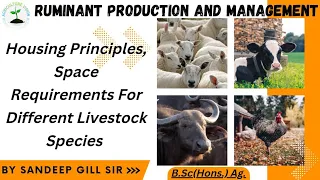 Housing principles, Space requirements for different livestock species