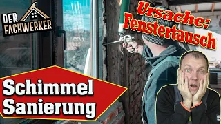 Altbau + neue Fenster = Schimmel? (Ein lösbares Problem)