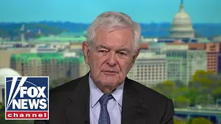 Newt Gingrich: Democrats are ‘running over people’s civil liberties’
