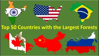 Top 50 Countries with the Largest Forests