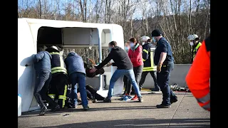 Hemsbach: Pferdetransporter verunglückt auf der A5 - Feuerwehr befreit zwei Tiere