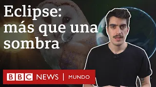 Los efectos de los eclipses sobre la Tierra | BBC Mundo