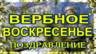 Вербное Воскресенье 25 апреля! Красивая музыкальная открытка! Поздравление с Вербным Воскресеньем!