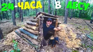 24 часа в лесу! Охота на курицу! Строю крутую землянку!