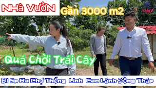 Mẹ đơn thân vì 2 con Ngậm ngùi bán ngôi nhà vườn 2900m2 mặt tiền DT 846 Tân Nghĩa Cao Lãnh #xuhuong