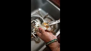 How to cut and clean crabs at home #shorts