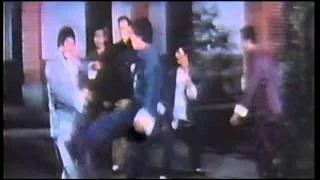 THE KING OF KUNG FU AKA EVER VICTORIOUS HALL - LETTERBOX - ENGLISH DUBBED.mpg