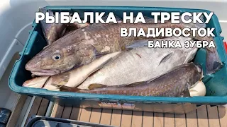 Рыбалка на треску во Владивостоке, банка зубра. #БлогВлдивосток