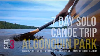 Algonquin Park Seven Day Solo Canoe Trip | Algonquin Park Mangotasi Lake to Biggar Lake