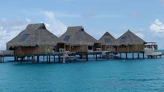 Bora Bora (2022)