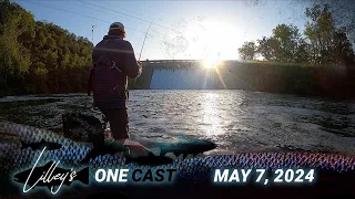 Lilley's One Cast, May 7