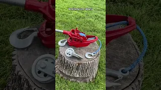 Using Physics to Remove a Tree!🌳 #treeremoval #tools #physics