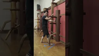 Wing Chun Wooden Dummy Section 1A