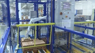 Epson C8XL 6-Axis Robot used within an Automated Palletizing Solution