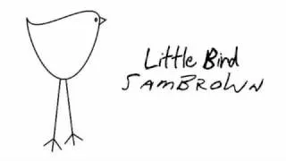 Sam Brown - Little Bird (Eels)