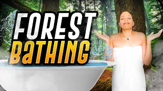What is Forest Bathing? The Science Behind Stress Relief)