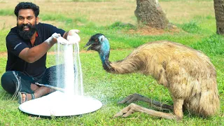 50Kg Emu Salt Fry | 50kg എമു ഉപ്പിലിട്ടു ചുട്ടെടുത്തു | M4 TECH |