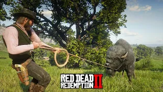 LAÇANDO O BÚFALO NEGRO + Os SEGREDOS do EMERALD RANCH - O Domador de Cavalos - Red Dead Redemption 2