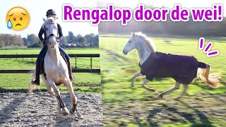 Mijn eerste VAL van Nacho & RENGALOP door de SPEELWEIDE! | felinehoi VLOG #492