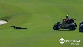 Great Clips of the Week: Gator disrupts play at Zurich Classic