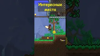 TERRARIA: ЧЁ ДЕЛАТЬ В ЛЕСУ?!