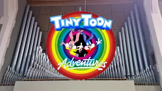 Tiny Toon Adventures (Organ Cover)