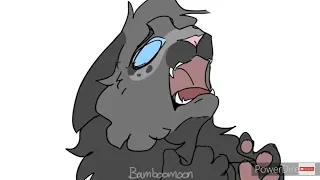 Warrior Cats Memes (Compilation #6)