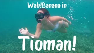 Wah!Banana's 3D2N in Tioman