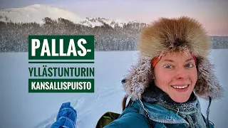 Pallas-Yllästunturin kansallispuisto 2024 - Tuulta, pakkasta ja ponnistelua