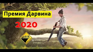 Премия Дарвина 2020 | Самые нелепые смерти