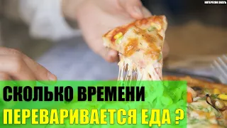 Сколько времени переваривается съеденная еда?