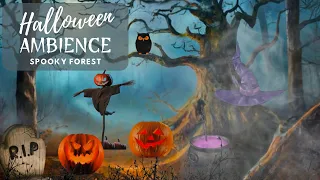 Enchanted Halloween Forest Ambience 🎃🌲 | Creepy Cauldron, Witch's Brew, and Mysterious Night Sounds