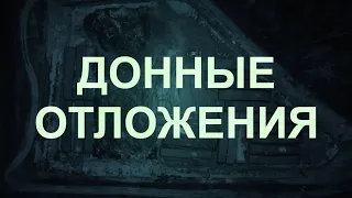 Нацпроект: "Геотубы - концы в воду!" #озеро Ломпадь, Людиново