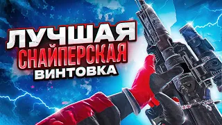 СБОРКА НА КОШКУ ДЛЯ СЕТЕВОЙ ИГРЫ В CALL OF DUTY MOBILE 🐈 Лучшая сборка в кал оф дьюти мобаил