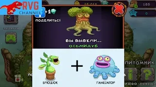 КАК ВЫВЕСТИ ОСЬМИДУБА. My Singing Monsters