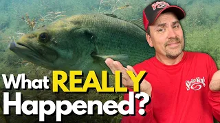 The TRUTH About BASS and CHANGING Conditions