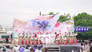 [4K] 飃〜FREEDOM〜 2024年度演舞『B.L.O.O.M.』初披露　犬山踊芸祭 2024 日曜日