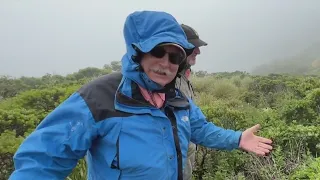 Part-time botanist documents unique plants only found on San Bruno Mountain