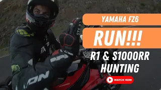Yamaha FZ6 | Tenerife | Los Loros ride with R1 and S1000RR