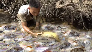 Unique Fishing , The Boy Cleverly Used The Pump To Suck Water In The Wild Lake. Catch a Lot Off Fish