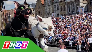 Độc đáo Lễ hội rước mèo ở Bỉ | THDT