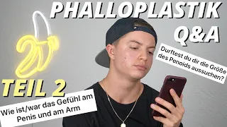 Phalloplastik Q&A Teil 2 - Fragen zum Penisaufbau - ftm transgender