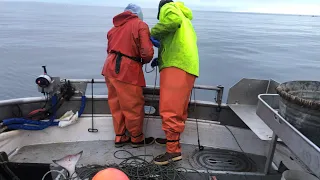 We're in Reel Trouble; on the Grounds Repair - Fall Halibut Fishing