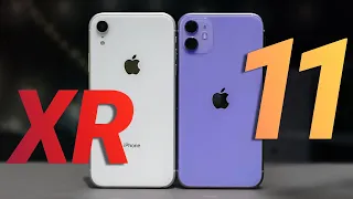 iPhone 11 vs iPhone XR в 2022 году — какой купить? Сравнение!