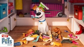 The Secret Life of Pets: Big Game