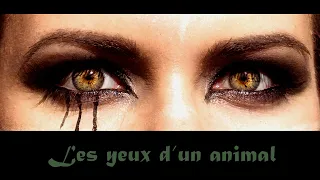 Les yeux d'un animal by GMprod42