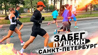 Первый старт сезона. Забег «Пушкин – Санкт-Петербург» 04.09.2022